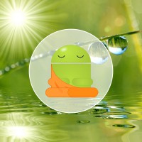 /album/zendroid/zendroid2-jpg/